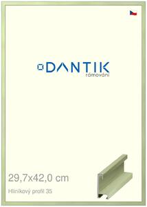 DANTIK rám na obraz 29,7x42 | ALU Dýha barevná zelená pastel (Plexi Čiré)