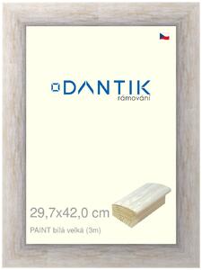 DANTIK rám na obraz 29,7x42 | PAINT bílá velká (Plexi Čiré)