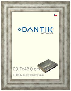 DANTIK rám na obraz 29,7x42 | TRITON široký stříbrný (Plexi Čiré)