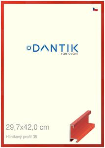 DANTIK rám na obraz 29,7x42 | ALU Dýha barevná červená třešeň (Plexi Čiré)