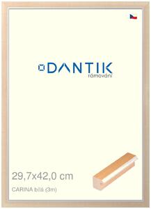DANTIK rám na obraz 29,7x42 | CARINA Bílá (Plexi Čiré)