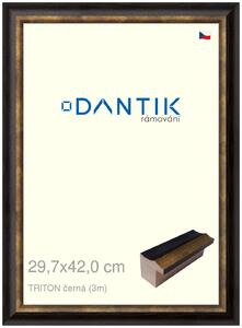 DANTIK rám na obraz 29,7x42 | TRITON černá (Plexi Čiré)