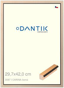 DANTIK rám na obraz 29,7x42 | CARINA černá (Plexi Čiré)