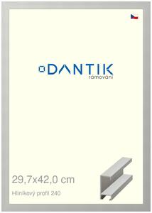 DANTIK rám na obraz 29,7x42 | ALU Stříbrná matná (Plexi Čiré)