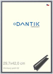 DANTIK rám na obraz 29,7x42 | ALU Platina matná (Plexi Čiré)