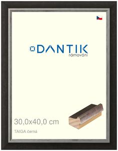 DANTIK rám na obraz 30x40 | TAIGA černá (Plexi Čiré)