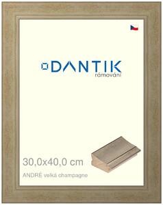 DANTIK rám na obraz 30x40 | ANDRÉ velká champagne (Plexi Čiré)