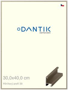 DANTIK rám na obraz 30x40 | ALU champagne (Plexi Čiré)