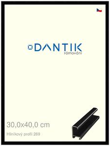 DANTIK rám na obraz 30x40 | ALU Černá lesklá (Plexi Čiré)