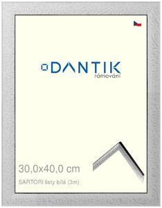 DANTIK rám na obraz 30x40 | SARTORI listy čílá (Plexi Čiré)