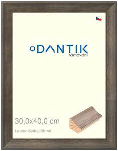 DANTIK rám na obraz 30x40 | Lauren šedostříbrná (Plexi Čiré)