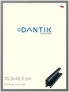 DANTIK rám na obraz 30x40 | ALU Platina matná (Plexi Čiré)