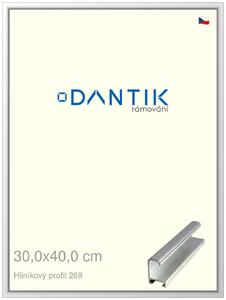 DANTIK rám na obraz 30x40 | ALU Stříbrná lesklá (Plexi Čiré)