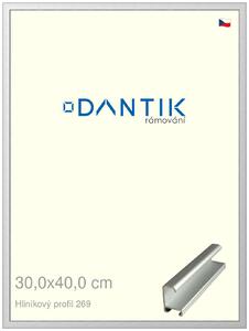 DANTIK rám na obraz 30x40 | ALU Stříbrná matná (Plexi Čiré)