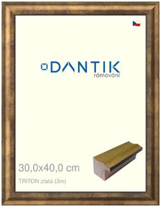 DANTIK rám na obraz 30x40 | TRITON zlatá (Plexi Čiré)