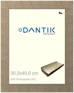 DANTIK rám na obraz 30x40 | Golf champagne (Plexi Čiré)