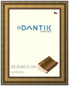 DANTIK rám na obraz 30x40 | Doprodej | METAL AU prohlá velká (Plexi Čiré)