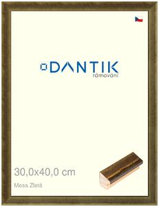 DANTIK rám na obraz 30x40 | Mosa zlatá (Plexi Čiré)