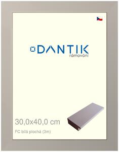 DANTIK rám na obraz 30x40 | FC Bílá plochá (Plexi Čiré)