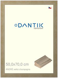 DANTIK rám na obraz 50x70 | ANDRÉ velká champagne (Plexi Čiré)