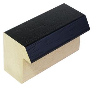 DANTIK rám na obraz 40x50 | WOODLINE černá (Plexi Čiré)