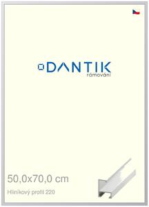 DANTIK rám na obraz 50x70 | ALU Bílá matná (Plexi Čiré)