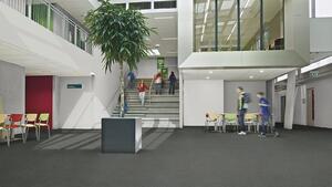 FORBO Flotex Advance Code Concrete S203079 - 2 bm