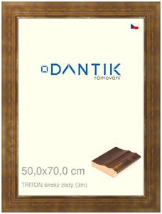 DANTIK rám na obraz 50x70 | TRITON široký zlatý (Plexi Čiré)