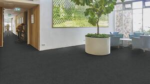 FORBO Flotex Advance Code Ash S203031 - 2 bm