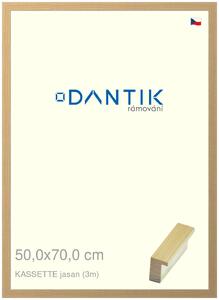 DANTIK rám na obraz 50x70 | KASSETTE jasan (Plexi Čiré)