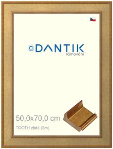 DANTIK rám na obraz 50x70 | TOOTH zlatá (Plexi Čiré)
