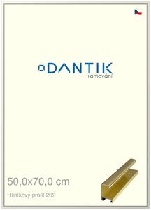 DANTIK rám na obraz 50x70 | ALU Zlatá lesklá (Plexi Čiré)