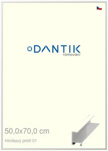 DANTIK rám na obraz 50x70 | ALU Stříbrná lesklá (Plexi Čiré)