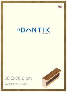 DANTIK rám na obraz 50x70 | KASSETTE zlatá (Plexi Čiré)