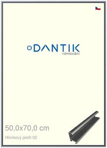 DANTIK rám na obraz 50x70 | ALU Platina matná (Plexi Čiré)