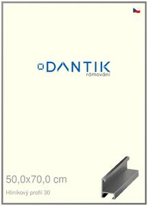 DANTIK rám na obraz 50x70 | ALU Ocelová (Plexi Čiré)