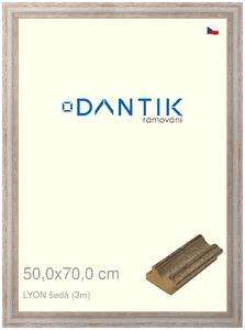 DANTIK rám na obraz 50x70 | LYON šedá (Plexi Čiré)