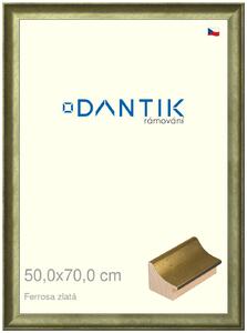 DANTIK rám na obraz 50x70 | Ferrosa zlatá (Plexi Čiré)