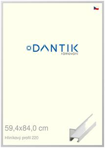 DANTIK rám na obraz 59,4x84 | ALU Bílá matná (Plexi Čiré)