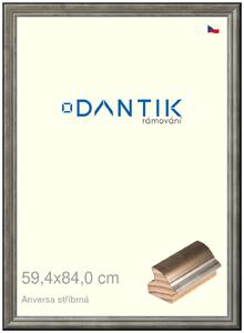 DANTIK rám na obraz 59,4x84 | ANIVERSA stříbrná (Plexi Čiré)