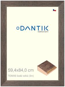 DANTIK rám na obraz 59,4x84 | TOMAS šedá velká (Plexi Čiré)