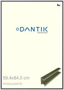 DANTIK rám na obraz 59,4x84 | ALU Platina matná (Plexi Čiré)