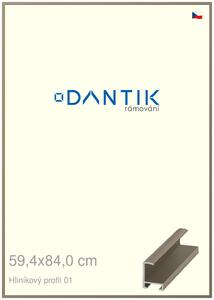 DANTIK rám na obraz 59,4x84 | ALU champagne (Plexi Čiré)