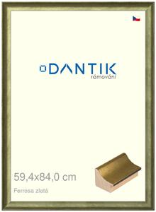 DANTIK rám na obraz 59,4x84 | Ferrosa zlatá (Plexi Čiré)