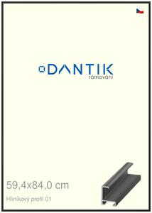 DANTIK rám na obraz 59,4x84 | ALU Černá matná (Plexi Čiré)