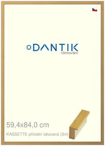 DANTIK rám na obraz 59,4x84 | KASSETTE přírodní lakovaná (Plexi Čiré)