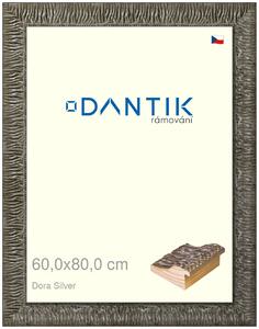 DANTIK rám na obraz 60x80 | Dora Silver (Plexi Čiré)