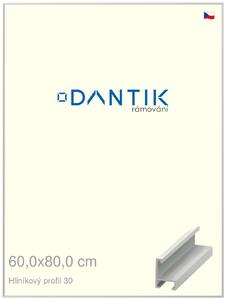 DANTIK rám na obraz 60x80 | ALU Bílá matná (Plexi Čiré)
