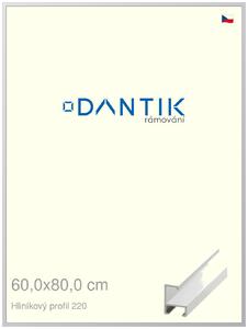 DANTIK rám na obraz 60x80 | ALU Bílá matná (Plexi Čiré)