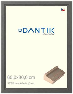 DANTIK rám na obraz 60x80 | STEP tmavěšedá (Plexi Čiré)
